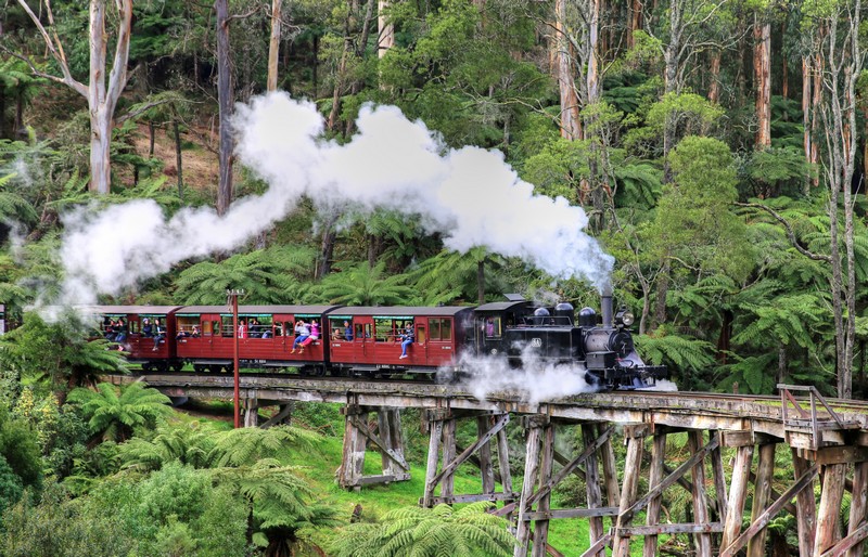 Melbourne – Dandenong – Đảo Philip 